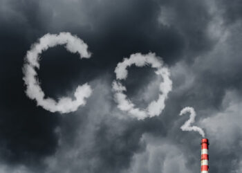 Pesquisa em São Paulo Recebe R$20 Mi para Neutralizar Emissões de Gases de Efeito Estufa na Pecuária de Corte