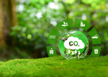 Pesquisa e Inovação: Investimento de R$20 Mi para Neutralizar Emissões de Gases de Efeito Estufa na Pecuária de Corte em São Paulo